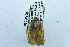 ( - USNM ENT 00731390)  @12 [ ] Unspecified (default): All Rights Reserved  Unspecified Unspecified