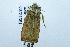 ( - USNM ENT 00731391)  @12 [ ] Unspecified (default): All Rights Reserved  Unspecified Unspecified