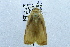  ( - USNM ENT 00731394)  @12 [ ] Unspecified (default): All Rights Reserved  Unspecified Unspecified