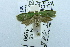  ( - USNM ENT 00731399)  @13 [ ] Unspecified (default): All Rights Reserved  Unspecified Unspecified