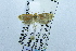  ( - USNM ENT 00731409)  @12 [ ] Unspecified (default): All Rights Reserved  Unspecified Unspecified