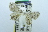  ( - USNM ENT 00731421)  @12 [ ] Unspecified (default): All Rights Reserved  Unspecified Unspecified
