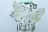  ( - USNM ENT 00731443)  @12 [ ] Unspecified (default): All Rights Reserved  Unspecified Unspecified