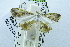  ( - USNM ENT 00731449)  @13 [ ] Unspecified (default): All Rights Reserved  Unspecified Unspecified