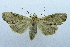  ( - USNM ENT 00731581)  @13 [ ] Unspecified (default): All Rights Reserved  Unspecified Unspecified