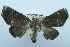  ( - USNM ENT 00204880)  @13 [ ] Unspecified (default): All Rights Reserved  Unspecified Unspecified
