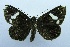  ( - USNM ENT 00210323)  @14 [ ] Unspecified (default): All Rights Reserved  Unspecified Unspecified