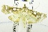  ( - USNM ENT 00500730)  @12 [ ] Unspecified (default): All Rights Reserved  Unspecified Unspecified