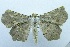  ( - USNM ENT 00702061)  @13 [ ] Unspecified (default): All Rights Reserved  Unspecified Unspecified