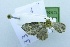  ( - USNM ENT 00719308)  @12 [ ] Unspecified (default): All Rights Reserved  Unspecified Unspecified