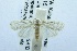  ( - USNM ENT 00719317)  @13 [ ] Unspecified (default): All Rights Reserved  Unspecified Unspecified