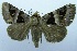  ( - USNM ENT 00730853)  @14 [ ] Unspecified (default): All Rights Reserved  Unspecified Unspecified