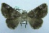  ( - USNM ENT 00730856)  @13 [ ] Unspecified (default): All Rights Reserved  Unspecified Unspecified