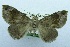  ( - USNM ENT 00730858)  @14 [ ] Unspecified (default): All Rights Reserved  Unspecified Unspecified