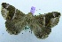  ( - USNM ENT 00730861)  @12 [ ] Unspecified (default): All Rights Reserved  Unspecified Unspecified