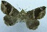  ( - USNM ENT 00730862)  @12 [ ] Unspecified (default): All Rights Reserved  Unspecified Unspecified