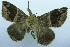  ( - USNM ENT 00730863)  @12 [ ] Unspecified (default): All Rights Reserved  Unspecified Unspecified
