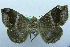  ( - USNM ENT 00730865)  @12 [ ] Unspecified (default): All Rights Reserved  Unspecified Unspecified