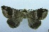  ( - USNM ENT 00730866)  @12 [ ] Unspecified (default): All Rights Reserved  Unspecified Unspecified