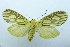  ( - USNM ENT 00730880)  @14 [ ] Unspecified (default): All Rights Reserved  Unspecified Unspecified