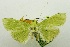  ( - USNM ENT 00731013)  @14 [ ] Unspecified (default): All Rights Reserved  Unspecified Unspecified