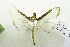  ( - USNM ENT 00731037)  @13 [ ] Unspecified (default): All Rights Reserved  Unspecified Unspecified