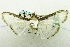  ( - USNM ENT 00731038)  @12 [ ] Unspecified (default): All Rights Reserved  Unspecified Unspecified