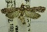  (Cryptoblabes sp. AAL6476 - USNM ENT 00731124)  @14 [ ] Unspecified (default): All Rights Reserved  Unspecified Unspecified
