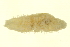  ( - 10BIOBC-00044)  @11 [ ] CreativeCommons - Attribution (2011) CBG Photography Group Centre for Biodiversity Genomics