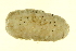  ( - 10BIOBC-00622)  @13 [ ] CreativeCommons - Attribution (2011) CBG Photography Group Centre for Biodiversity Genomics