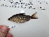  ( - EqGui2017_191)  @11 [ ] CreativeCommons - Attribution Share-Alike (2019) Unspecified Randolph-Macon College