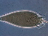  ( - GD137-2)  @11 [ ] CreativeCommons - Attribution Non-Commercial Share-Alike (2020) Unspecified Nanjing Agriculture university