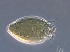  ( - NJAU-Dip-22)  @11 [ ] CreativeCommons - Attribution Non-Commercial Share-Alike (2058) Unspecified Nanjing Agriculture university