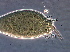 ( - NJAU-Dip-17)  @11 [ ] CreativeCommons - Attribution Non-Commercial Share-Alike (2045) Unspecified Nanjing Agriculture university