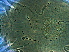  ( - CQ1-1)  @11 [ ] CreativeCommons - Attribution Non-Commercial Share-Alike (2020) Unspecified Nanjing Agriculture university