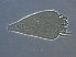  (Calepitrimerus sp. S103 - S103-1)  @11 [ ] CreativeCommons - Attribution Non-Commercial Share-Alike (2020) Unspecified Nanjing Agriculture university