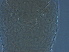  ( - AH2-1)  @11 [ ] CreativeCommons - Attribution Non-Commercial Share-Alike (2020) Unspecified Nanjing Agriculture university