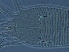  ( - H96-1)  @11 [ ] CreativeCommons - Attribution Non-Commercial Share-Alike (2020) Unspecified Nanjing Agriculture university