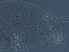  ( - GD123-3)  @11 [ ] CreativeCommons - Attribution Non-Commercial Share-Alike (2020) Unspecified Nanjing Agriculture university