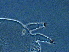  ( - AH3-1)  @11 [ ] CreativeCommons - Attribution Non-Commercial Share-Alike (2020) Unspecified Nanjing Agriculture university