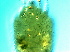  ( - S111D-2)  @11 [ ] CreativeCommons - Attribution Non-Commercial Share-Alike (2020) Unspecified Nanjing Agriculture university