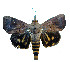  ( - ERILMC-064)  @11 [ ] No Rights Reserved (2018) Unspecified ENTOMOLOGY RESEARCH INSTITUTE, LOYOLA COLLEGE