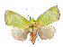  ( - ERILMC-165)  @11 [ ] No Rights Reserved (2018) Entomology Research Institute ENTOMOLOGY RESEARCH INSTITUTE, LOYOLA COLLEGE