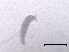  ( - BIOUG51088-E12)  @11 [ ] CreativeCommons - Attribution (2019) CBG Photography Group Centre for Biodiversity Genomics