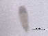  ( - BIOUG51088-F03)  @11 [ ] CreativeCommons - Attribution (2019) CBG Photography Group Centre for Biodiversity Genomics