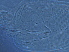  ( - NJAU-Z293-2)  @11 [ ] CreativeCommons - Attribution Non-Commercial Share-Alike (2020) Unspecified Nanjing Agriculture university