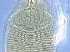  ( - kk17-2)  @11 [ ] CreativeCommons - Attribution Non-Commercial Share-Alike (2020) Unspecified Nanjing Agriculture university