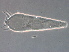  ( - GD122-2)  @11 [ ] CreativeCommons - Attribution Non-Commercial Share-Alike (2021) Unspecified Nanjing Agriculture university