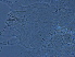  ( - BIOUG59204-F10)  @11 [ ] CreativeCommons - Attribution Non-Commercial Share-Alike (2020) Unspecified Nanjing Agriculture university