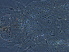  ( - NJAU-HEN31-2)  @11 [ ] CreativeCommons - Attribution Non-Commercial Share-Alike (2020) Unspecified Nanjing Agriculture university